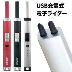 電子ライター プラズマライター USB充電式 アークライター (C)プラズマライター