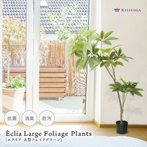 Eclia A[eBVO[ pL tFCNO[ CTG} R L h {H 񂽂 g ^ 傫  ϗtA v[g j z J CeA GNA 