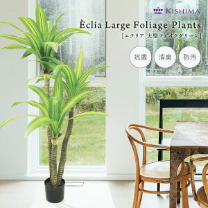 Eclia A[eBVO[ hZi tFCNO[ CTG} R L h {H 񂽂 g ^ 傫  ϗtA v[g j z J CeA GN