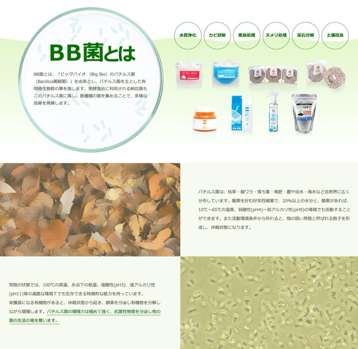 楽天市場 Bigbio エコ バイオリング 水槽用 水質浄化材 水換えの手間軽減 水槽 水質改善 微生物 糞 エサ 餌 食べ残し 分解 エコバイオリング 緑 茶 白 ビッグバイオ Sg Apマーケット