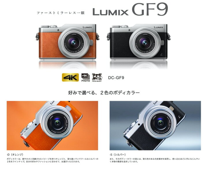 楽天市場】Panasonic DC-GF9W-D GF9 ダブルズームレンズキット LUMIX  