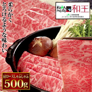  F{ a [X Ԃ 500g a Y  I I  O  ̓ ̓  䒆 v[g Mtg j  Ԃ j (P1)