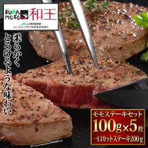  F{ a  Xe[L Zbg 100g×5AJbgXe[L200g a Y  I I  O  ̓ ̓  䒆 v[g Mtg j  