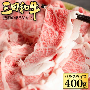   Oca o XCX 400g a Y  I I  O  ̓ ̓  䒆 v[g Mtg j  Ԃ j (P1)