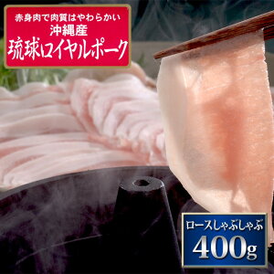  C|[N [X Ԃ 400g ؓ Y I I  O  ̓ ̓  䒆 v[g Mtg j  Ԃ j (P1)