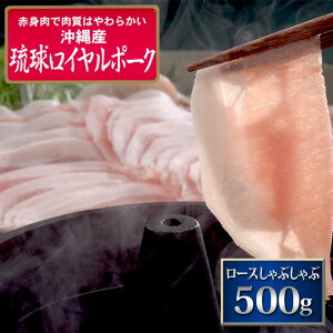  C|[N [X Ԃ 500g ؓ Y I I  O  ̓ ̓  䒆 v[g Mtg j  Ԃ j (P1)