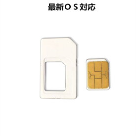 【圏外表示無番号無契約アクティベート専用】AU iPhone7 / 7 Plus/ 6S / 6S Plus/ 6 / 6 Plus / 5S / 5C / 5 専用simカード アクティベーション アクティベートカード…用 NanoSIMサイズカード アクティベートカードactivationアクティベーション