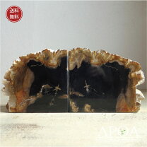 楽天市場】珪化木 彫刻の通販