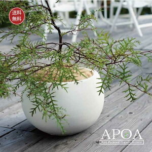 t@Co[Zgv^[@XpC@ʑ̃v^[