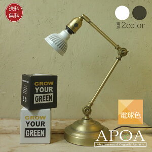 A琬Cg y dF z Plants NEXLIGHT X^h AeB[N