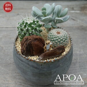 T{e Toi L  񂹐A v[g