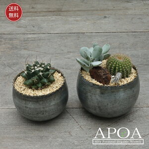 T{e ToiMES 2Zbg  񂹐A v[g