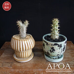 pL|fBE fVt[ 򍪐A Ȋ񂹐A