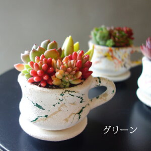 A 񂹐A av[g  Jbv\[T[ XvbVyCg  Mtg