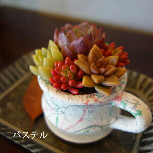 A 񂹐A av[g  Jbv\[T[ XvbVyCg  Mtg