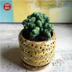 ]݂T{e@uCJN^X@cᎂq T{e A