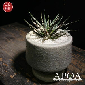 nI`A A A X^CbVȊ񂹐A