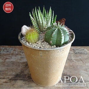 3̑ڂĂ񂹐A i` 񂹐A lC