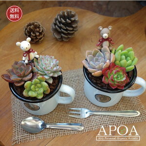 ~j z[[ }OJbv 񂹐A i` 񂹐A lC