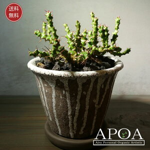 [tHrA lEgj[ AT{e A JbR񂹐A