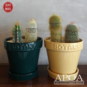 T{euU[Y V[Y2T{e A |bvȊ񂹐A