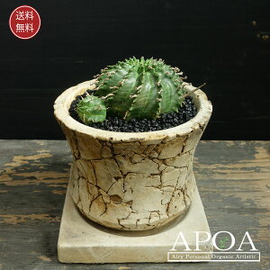 [tHrA z~X AT{e A |bvȊ񂹐A