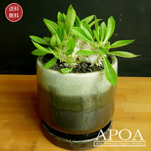 pL|fBE b单 A 򍪐A Ȋ񂹐A