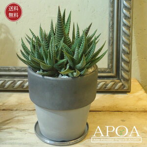 nI`A [u A A jOȊ񂹐A