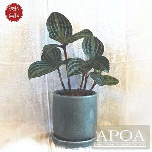 QIQicX |GsM[A ϗtA  Vv A