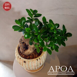 KW} ϗtA  킢 u₩ A