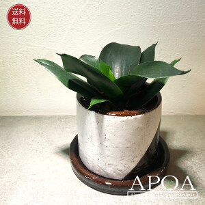 TZxA T nj[ ϗtA  Vv A