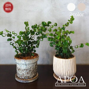 tBJX xW~ obNA A ȔA  ϗtA