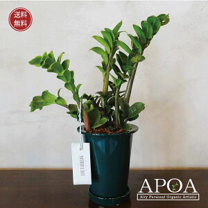 U~INJX U~[tHA ϗtA J[[t 