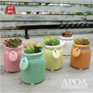 񂹐A A  ~N|bg a v[g pXeJ[ A 킢 WF