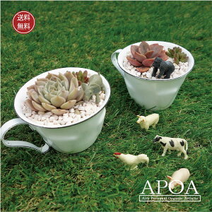 A 񂹐A  JbvɏZޓ 킢 WF z[[