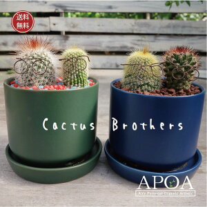 T{e  񂹐A T{euU[Y |bv AJ ߂ˌZ