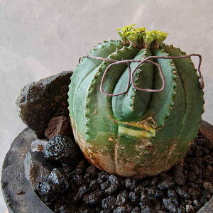 y[tHrAEsbRz IxTV@R[fbNX@A@