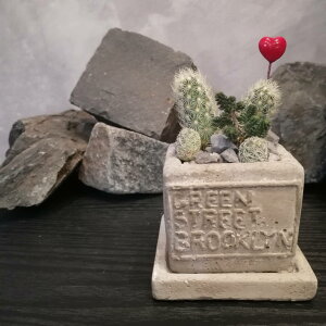 y T{e 񂹐A zT{eMtg@o^C@n[g^@T{^j@O[@~jT{e