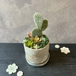 y  T{e }[u 񂹐A zT{e 񂹐A@ 񂹐A@@T{e@}[u