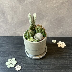 y  T{e }[u 񂹐A zT{e 񂹐A@ 񂹐A@@T{e@}[u