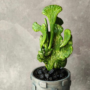 y[tHrAEIRN[^E~NfUCz~NfUC@[tHrA@@A@@}[uA