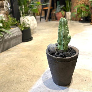 y [tHrA z_ zA@픫@ubN|bg@Vv|bg@A@@Mtg@MtgA@v[g