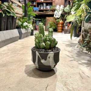 y }JVX z[tHrA@A@픫@Ȕ@A@@Mtg@MtgA@v[g