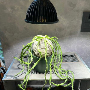 y [tHrA@fVhDAz_@i@A@A@@򍪐A@R[fbNX@JbRCC@v[g