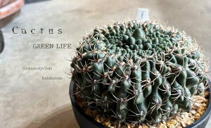 yT{e@MmJE@ofBAi@zo^Cf[@T{e񂹐A@T{e@T{eA 