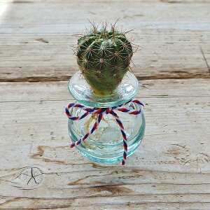 mini kT{e T{eNQ NAKX o oKX T{e