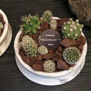 y T{e 񂹐A zT{eMtg@o^C@`RT{@O[