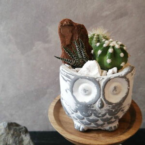 yӂ낤T{eztNE T{e 񂹐A Mtg A T{e񂹐A ^CAbv IV 킢 v[g Mtg EbhR|[g A 蕨 A S҂ɃIXX