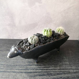 y_bNXth̃T{ez@Aj}@픫@T{e 񂹐A Mtg A T{e񂹐A ^CAbv IV 킢 v[g Mtg EbhR|[g A 蕨 