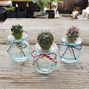 ݌Ɍ v[g T{e NQ3ENbNKXT{eƃoKXŊȒPlC̐k͔|